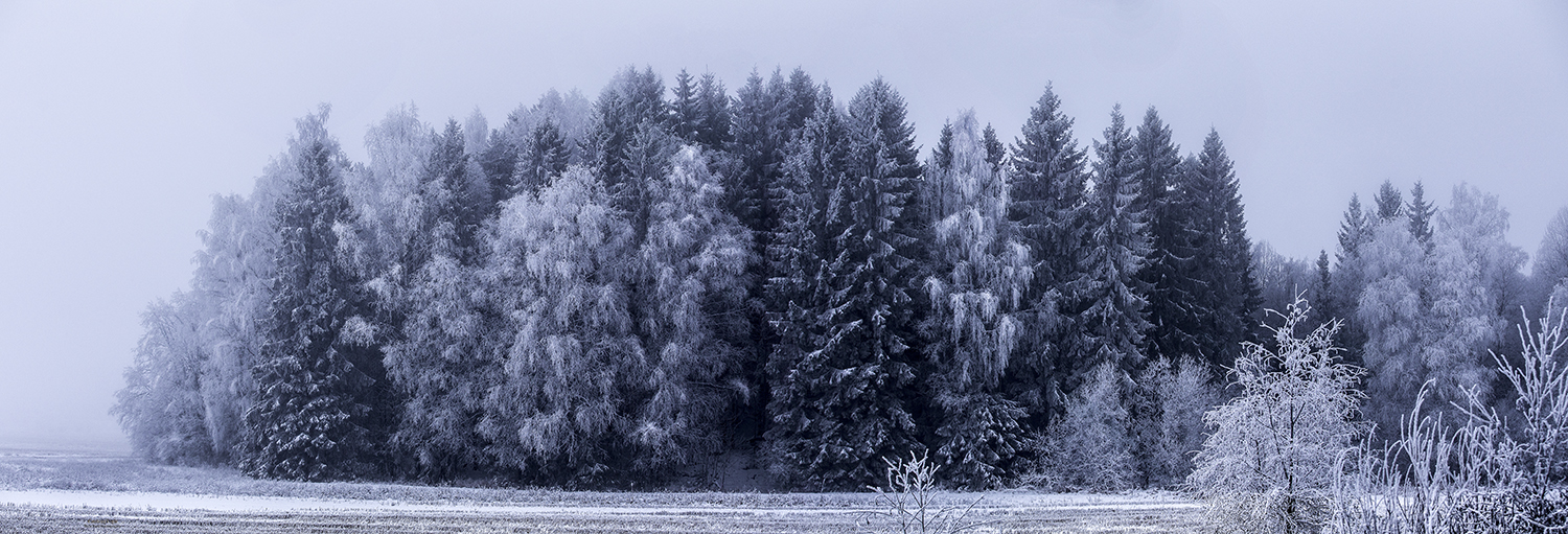 Norwegian Wood